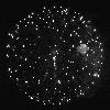 Firework.